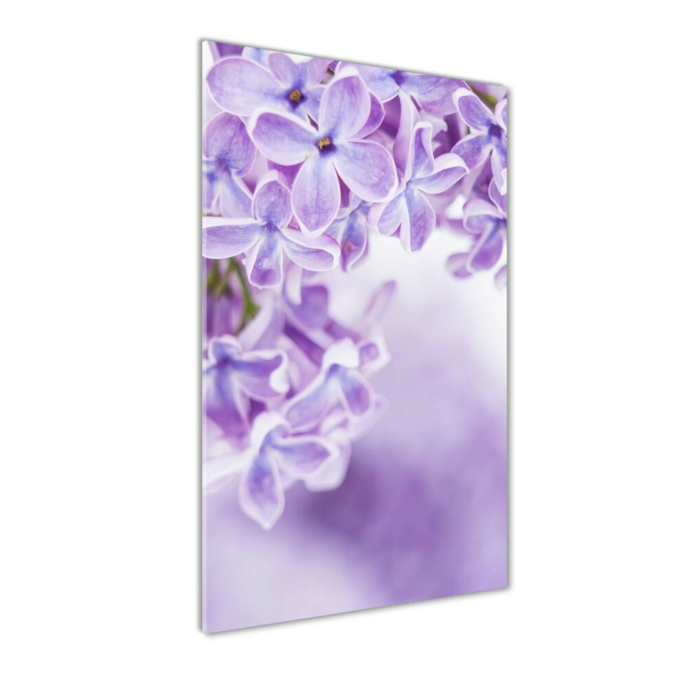 Tableau sur verre acrylique Fleurs de lilas