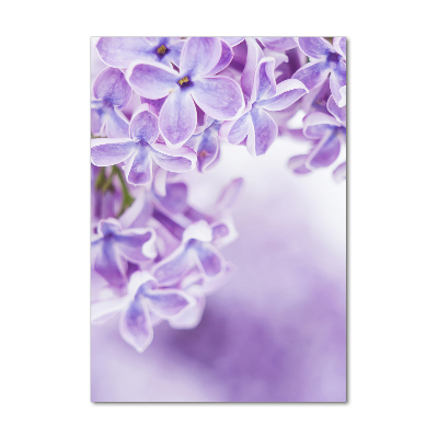 Tableau sur verre acrylique Fleurs de lilas