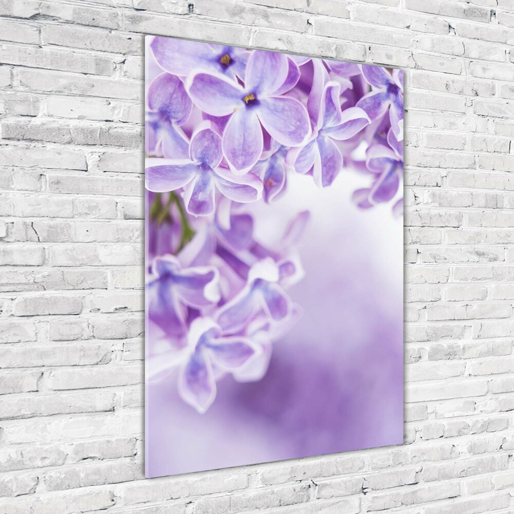 Tableau sur verre acrylique Fleurs de lilas