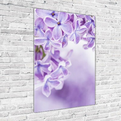 Tableau sur verre acrylique Fleurs de lilas