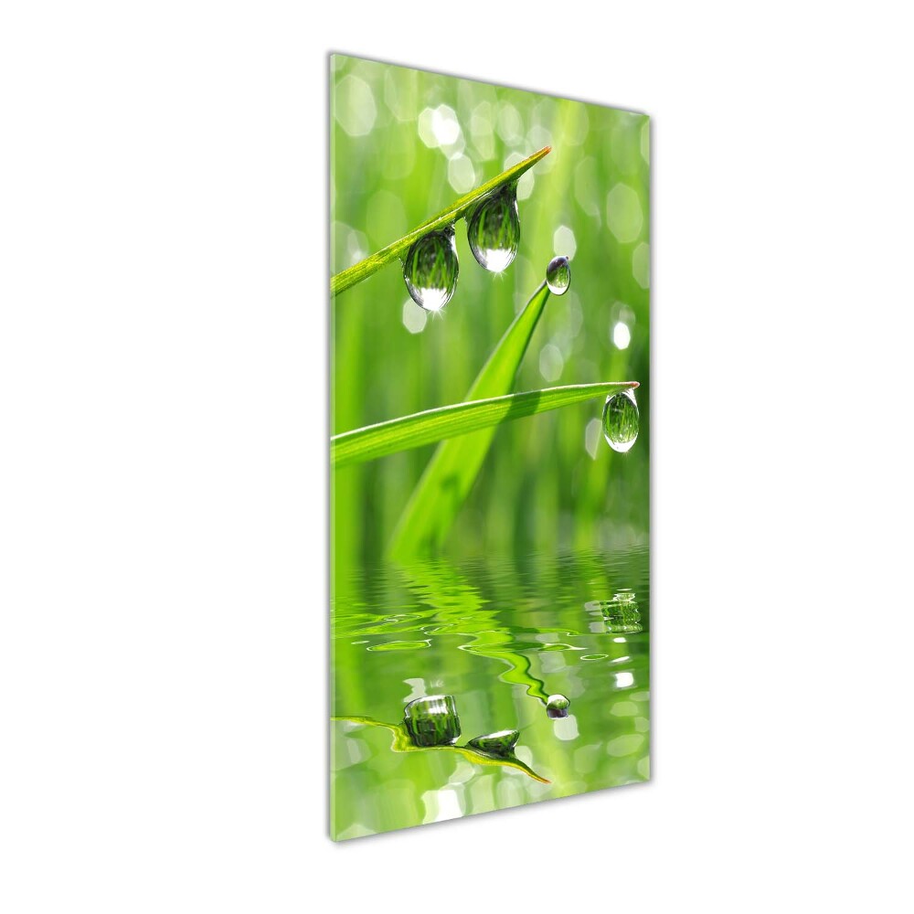 Acrylique tableau Tiges d'herbe