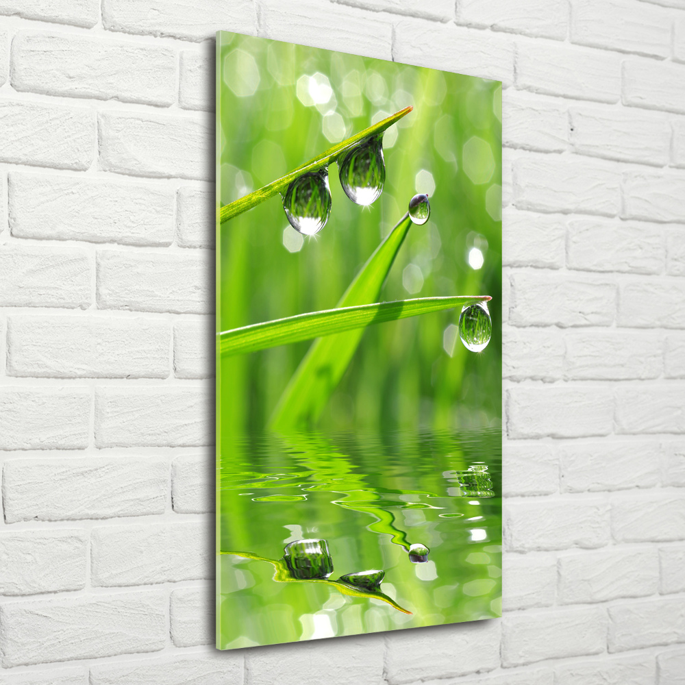 Acrylique tableau Tiges d'herbe