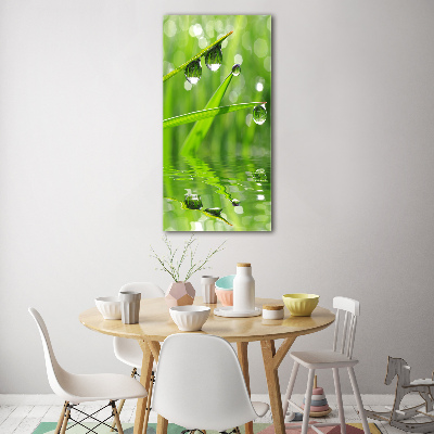 Acrylique tableau Tiges d'herbe