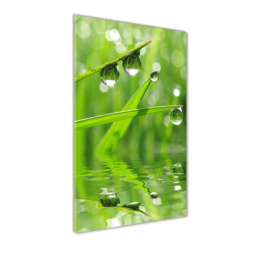 Acrylique tableau Tiges d'herbe