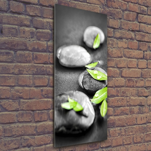 Tableau verre acrylique Feuilles de pierre zen