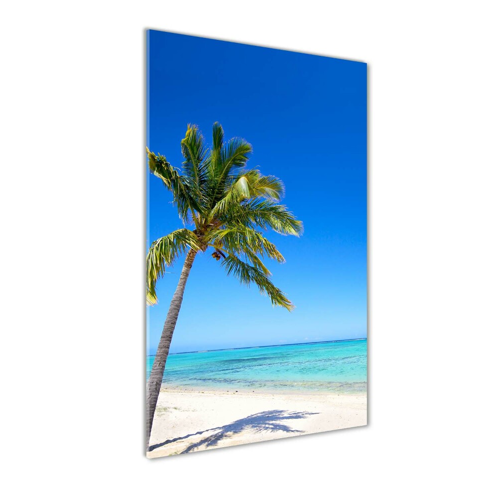 Tableau sur verre acrylique Plage exotique ocean