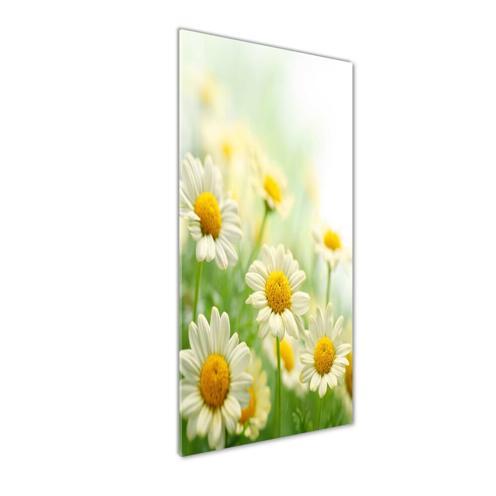 Tableau acrylique Marguerites