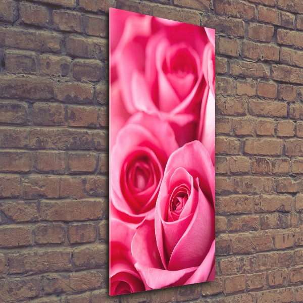 Tableau sur verre acrylique Roses roses