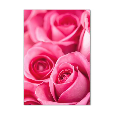 Tableau sur verre acrylique Roses roses