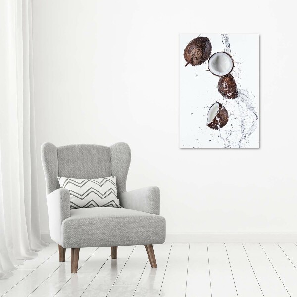 Tableau en acrylique Noix de coco