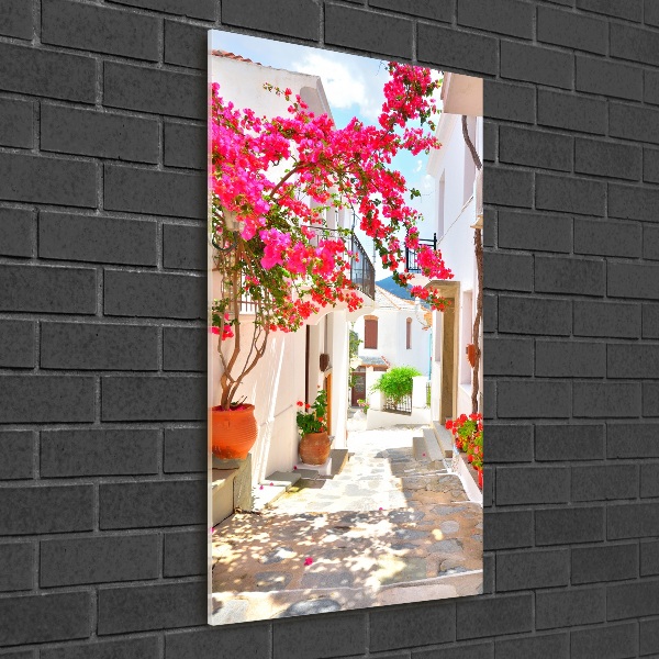 Tableau acrylique Rues grecques