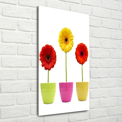 Acrylique tableau Gerberas colorés