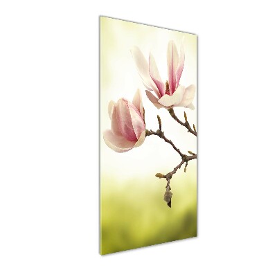 Acrylique tableau Fleurs de magnolias