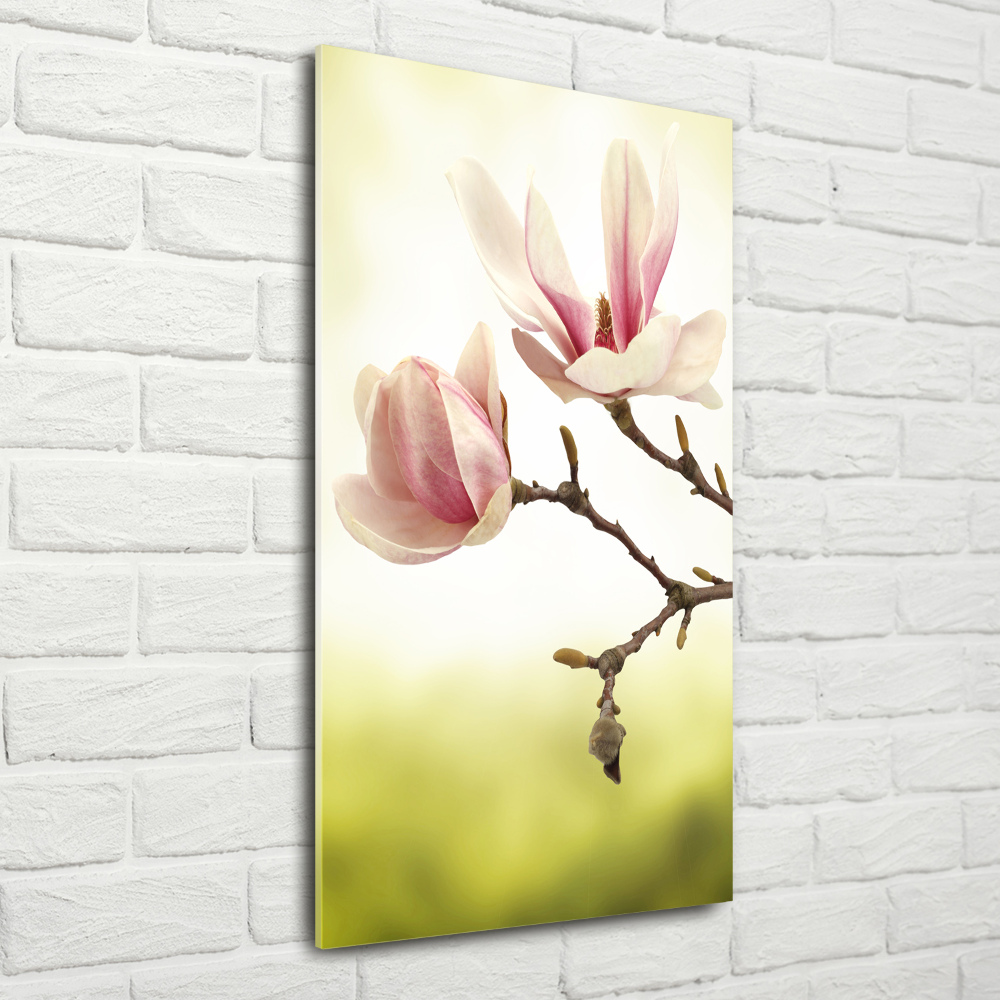 Acrylique tableau Fleurs de magnolias