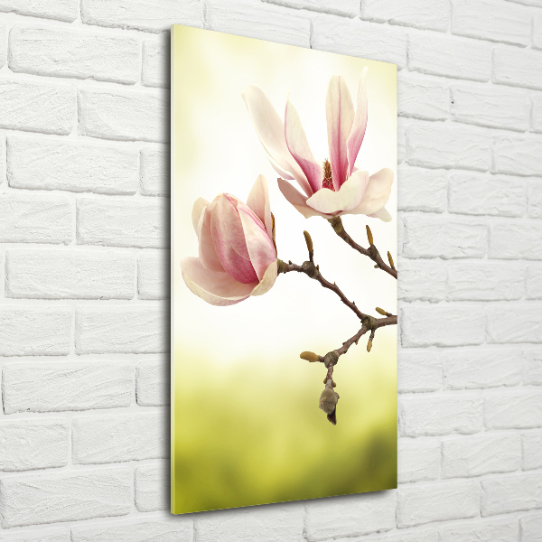 Acrylique tableau Fleurs de magnolias