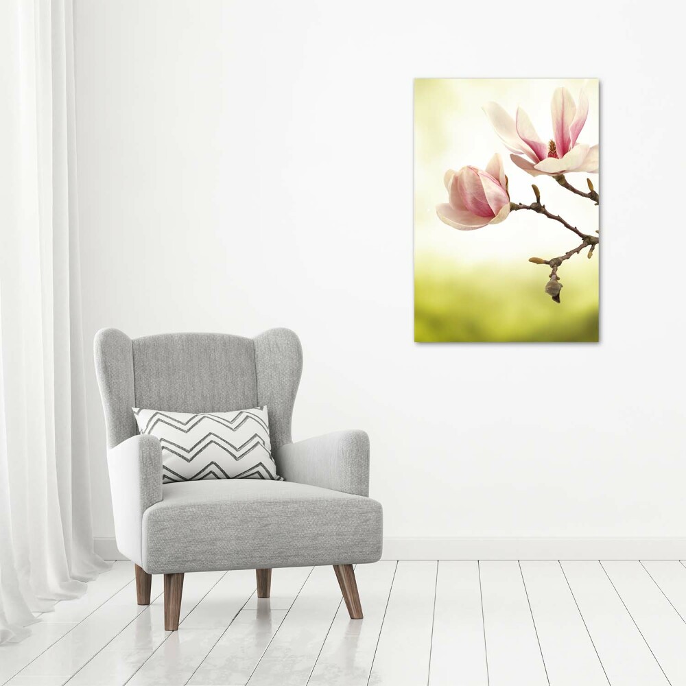 Acrylique tableau Fleurs de magnolias