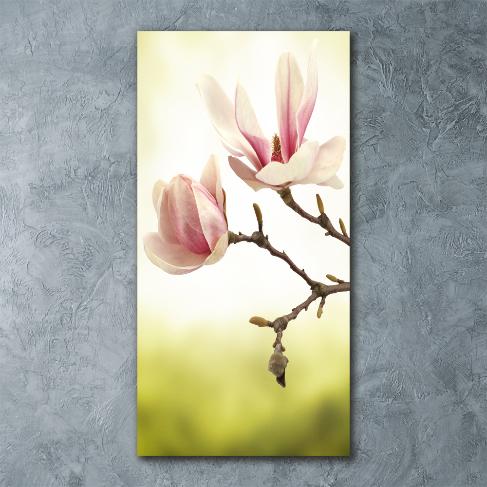 Acrylique tableau Fleurs de magnolias