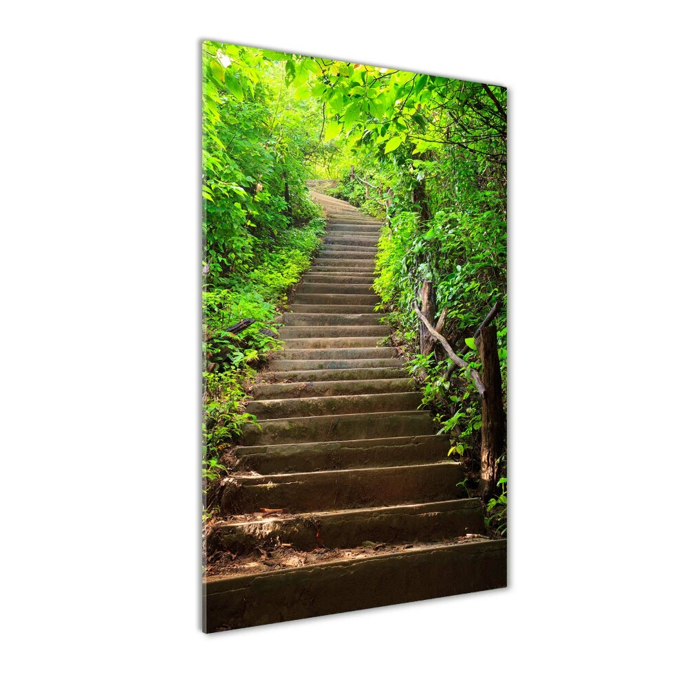 Tableau sur verre acrylique Escalier dans la forêt