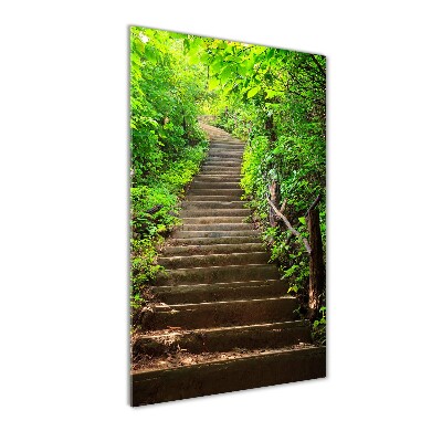 Tableau sur verre acrylique Escalier dans la forêt