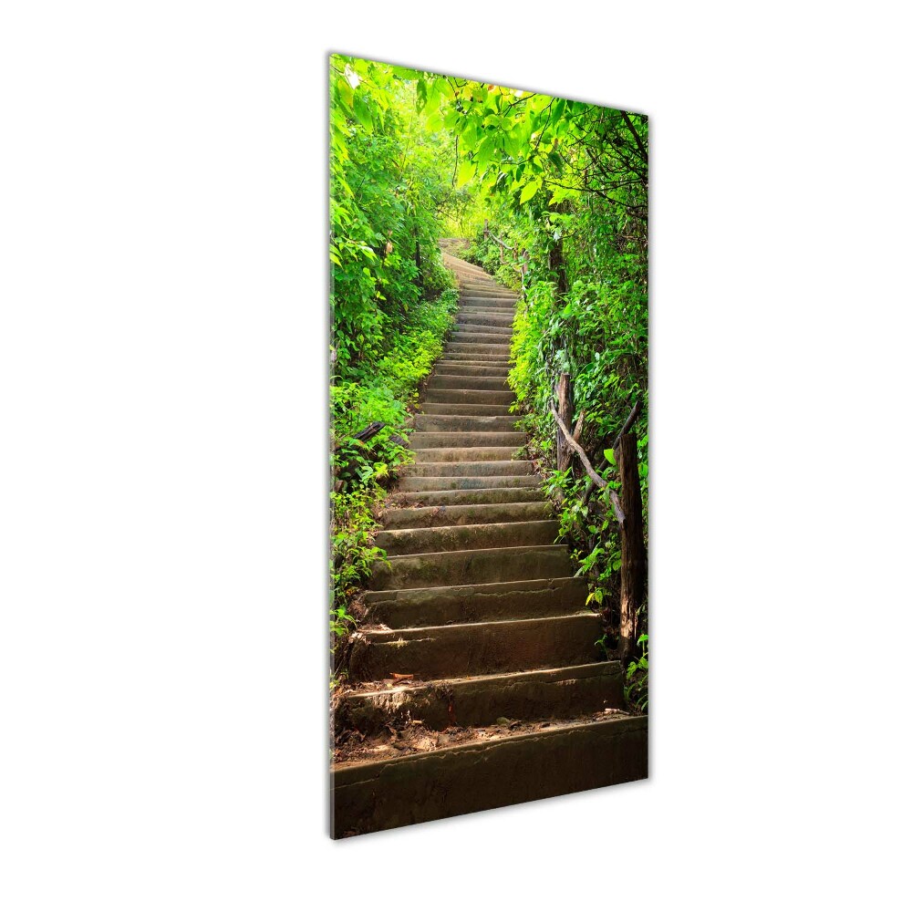 Tableau sur verre acrylique Escalier dans la forêt