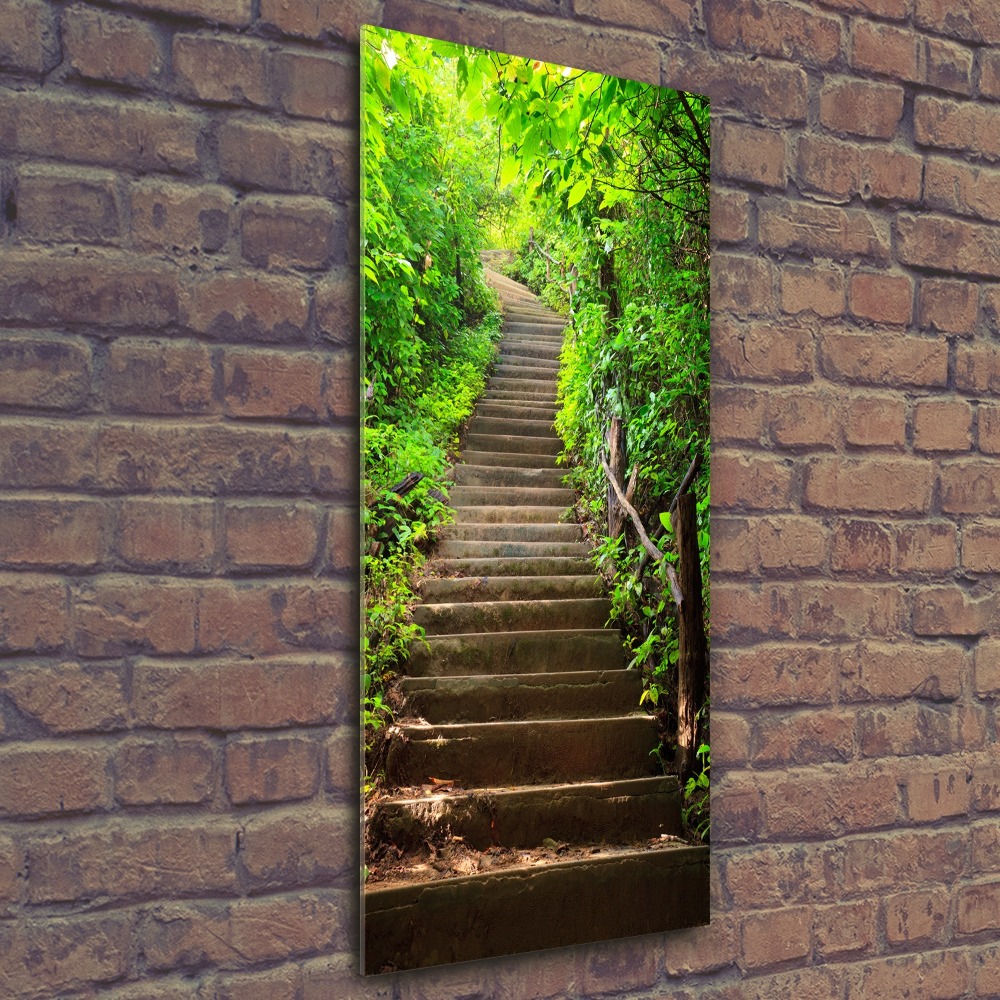 Tableau sur verre acrylique Escalier dans la forêt