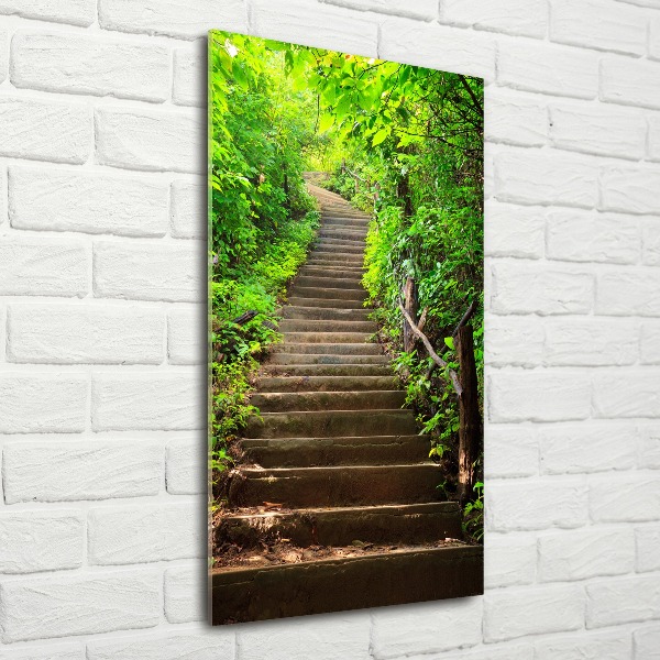 Tableau sur verre acrylique Escalier dans la forêt