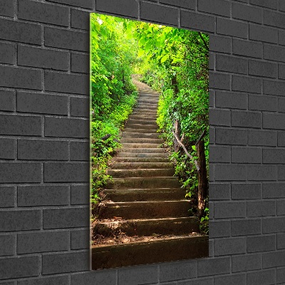 Tableau sur verre acrylique Escalier dans la forêt