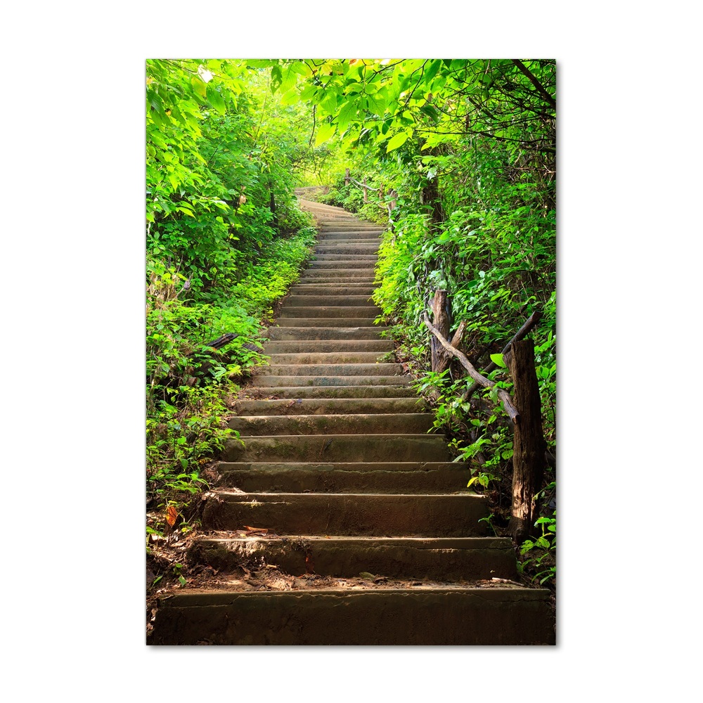 Tableau sur verre acrylique Escalier dans la forêt