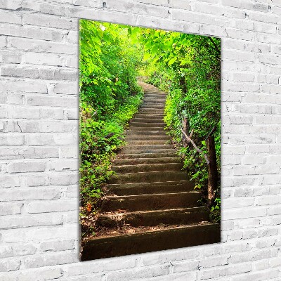 Tableau sur verre acrylique Escalier dans la forêt