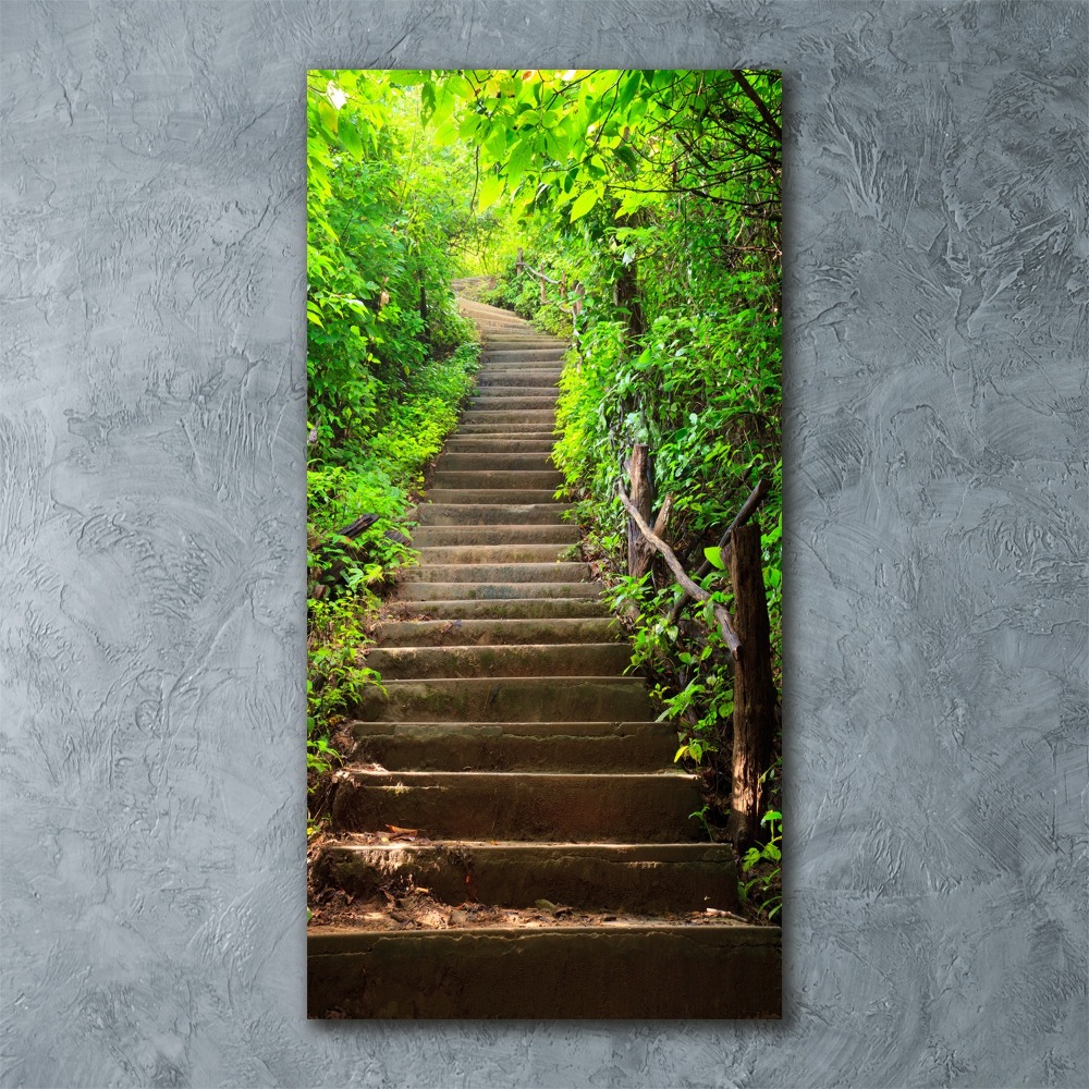 Tableau sur verre acrylique Escalier dans la forêt