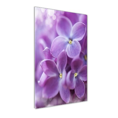 Acrylique tableau Fleurs de lilas