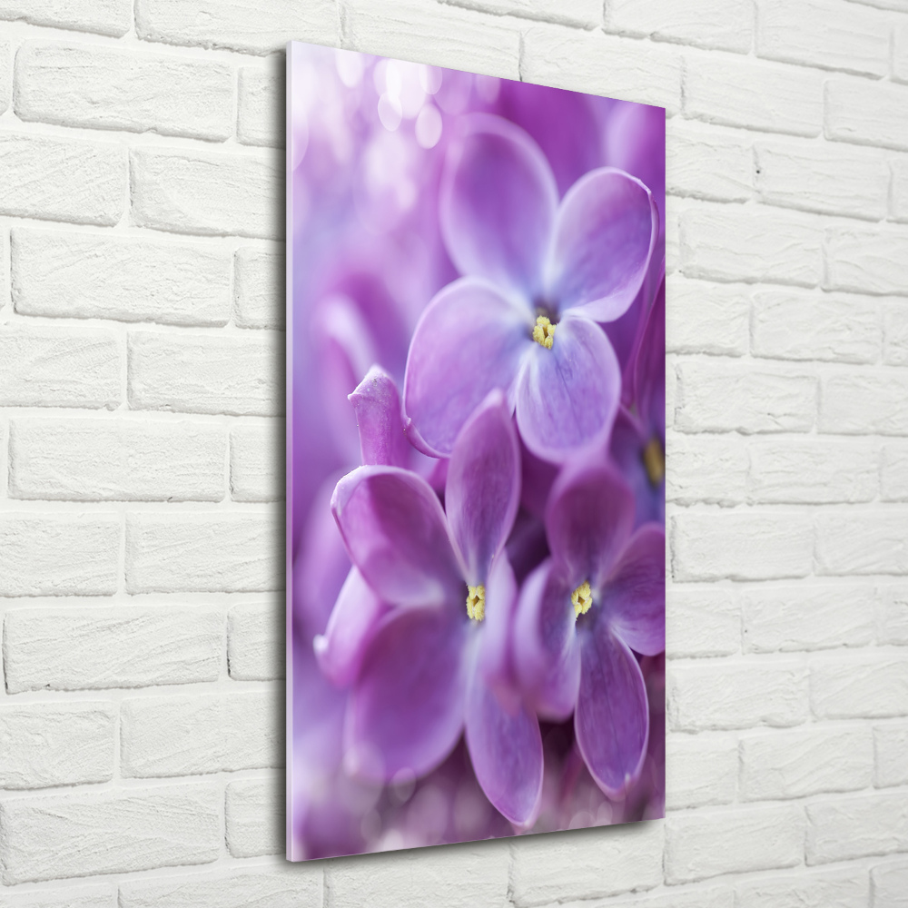 Acrylique tableau Fleurs de lilas