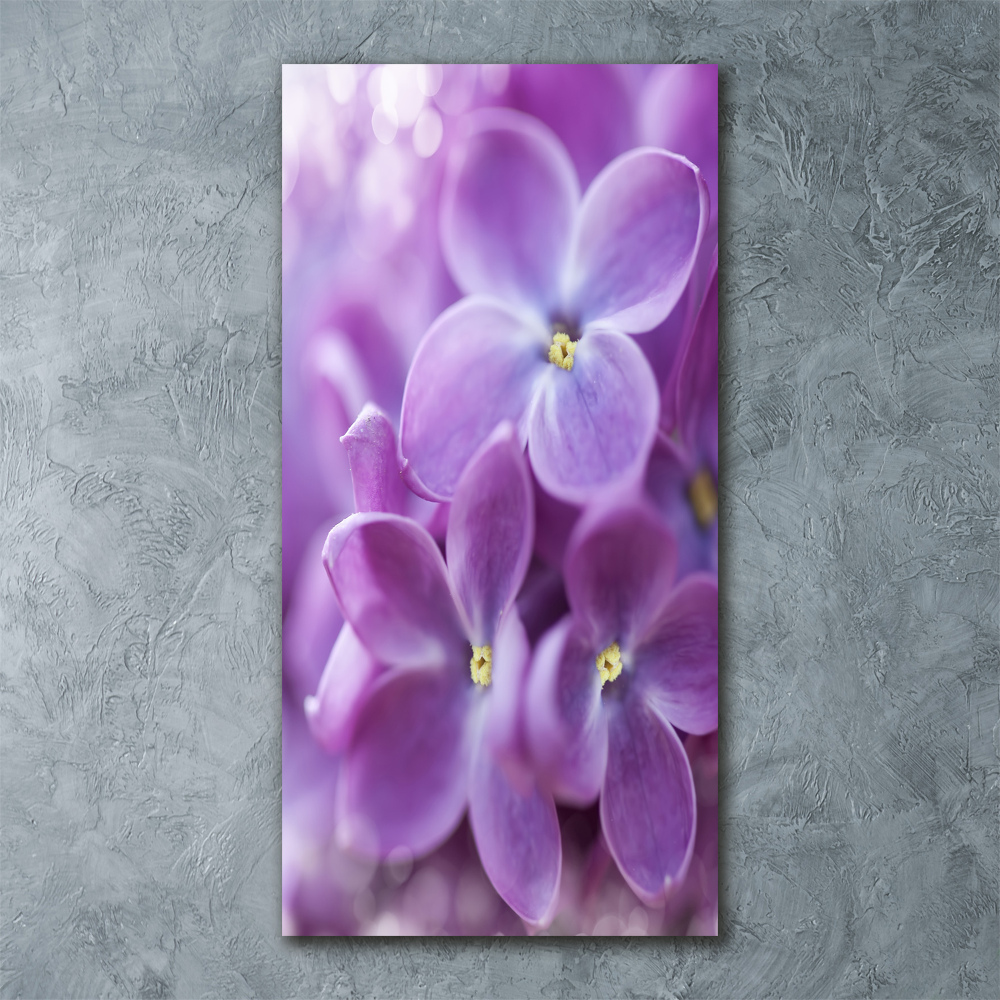 Acrylique tableau Fleurs de lilas