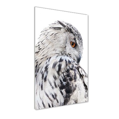 Tableau verre acrylique Hibou blanc