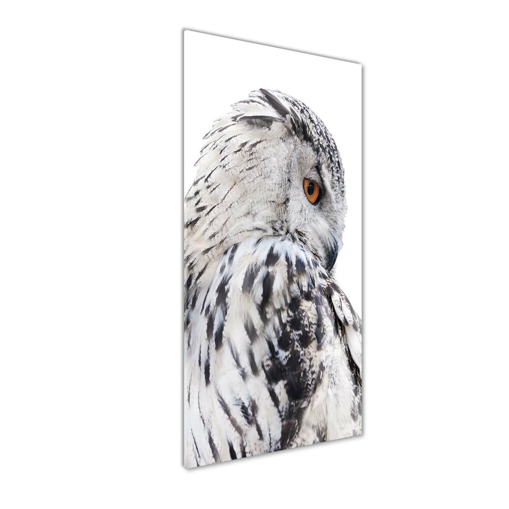 Tableau verre acrylique Hibou blanc