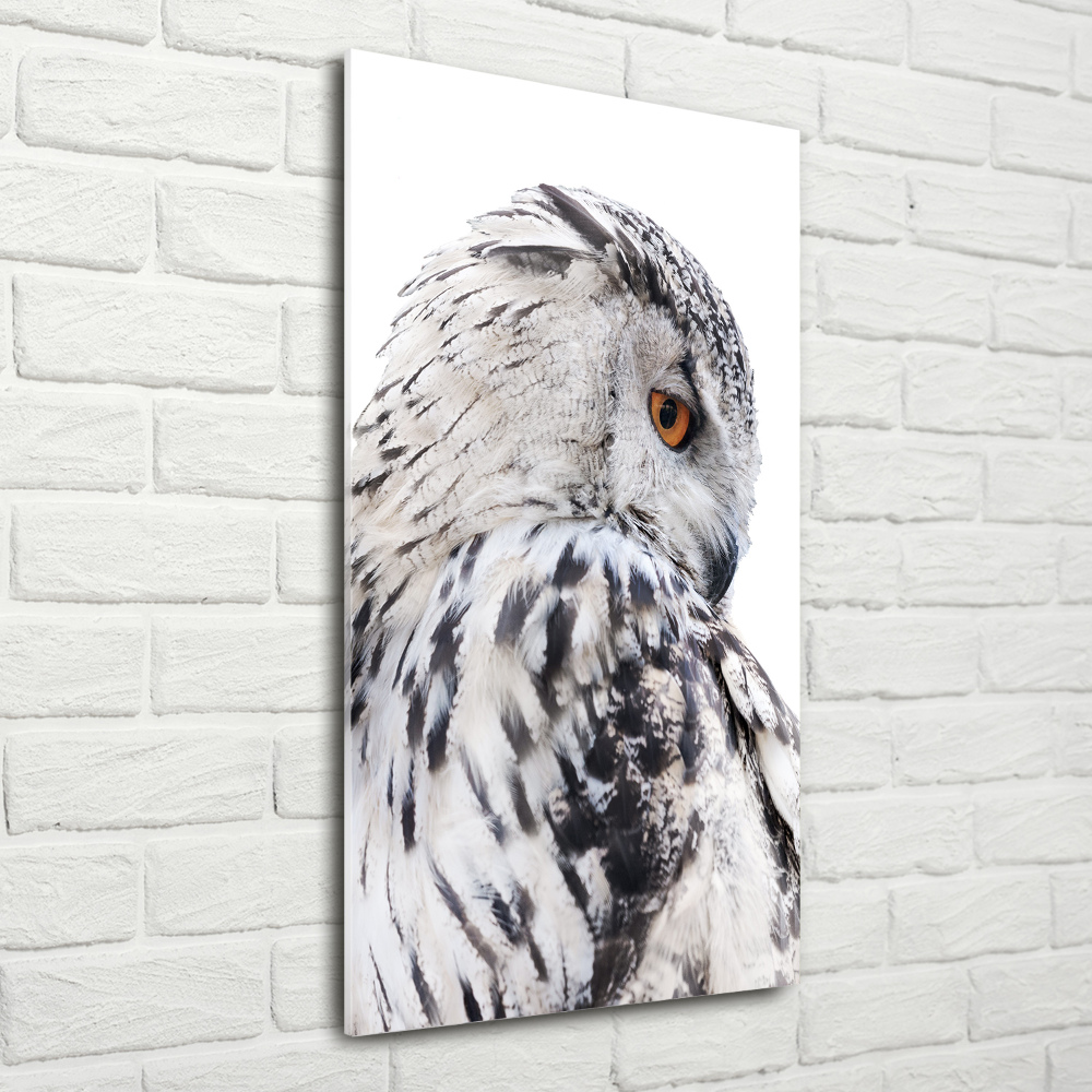 Tableau verre acrylique Hibou blanc