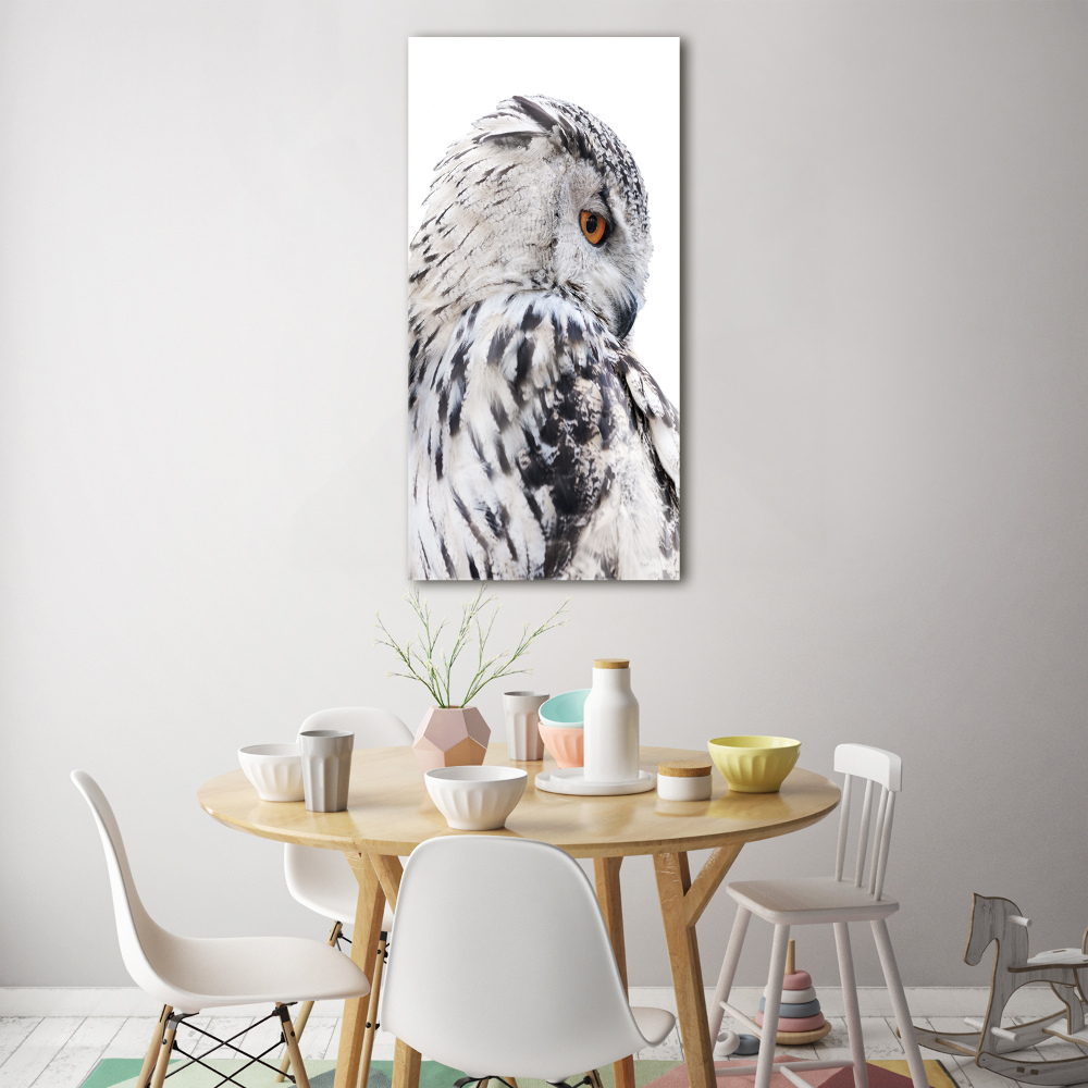 Tableau verre acrylique Hibou blanc