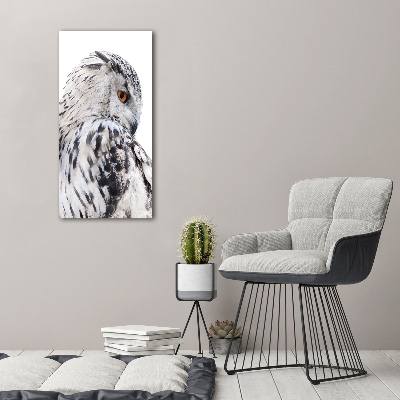 Tableau verre acrylique Hibou blanc