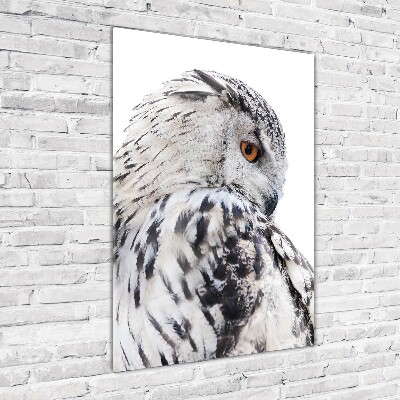 Tableau verre acrylique Hibou blanc