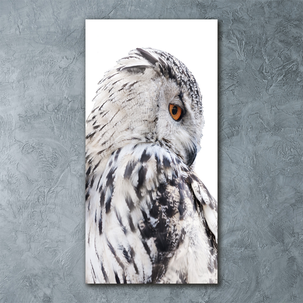 Tableau verre acrylique Hibou blanc