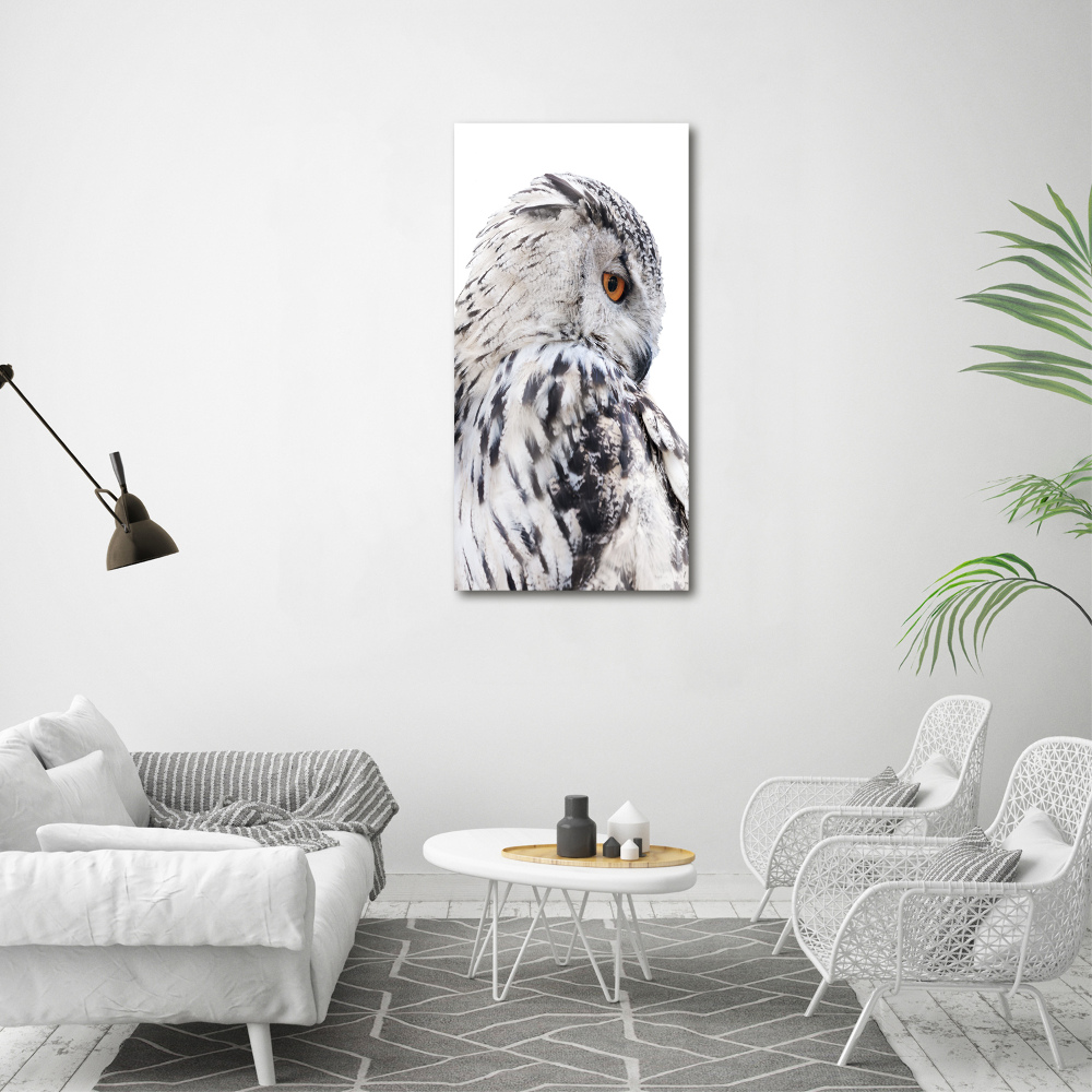 Tableau verre acrylique Hibou blanc