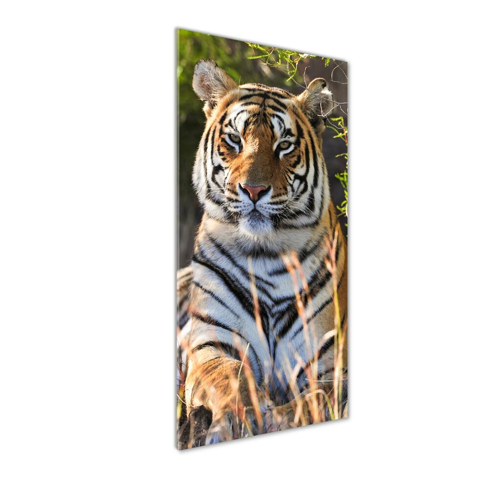 Tableau verre acrylique Tigre