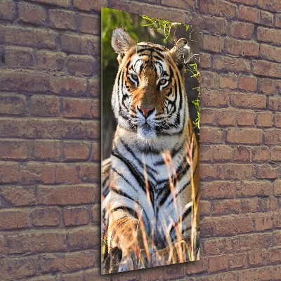 Tableau verre acrylique Tigre