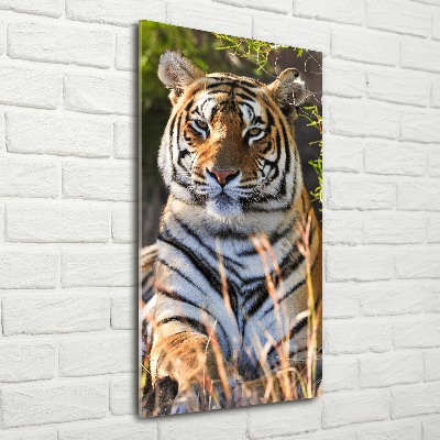 Tableau verre acrylique Tigre