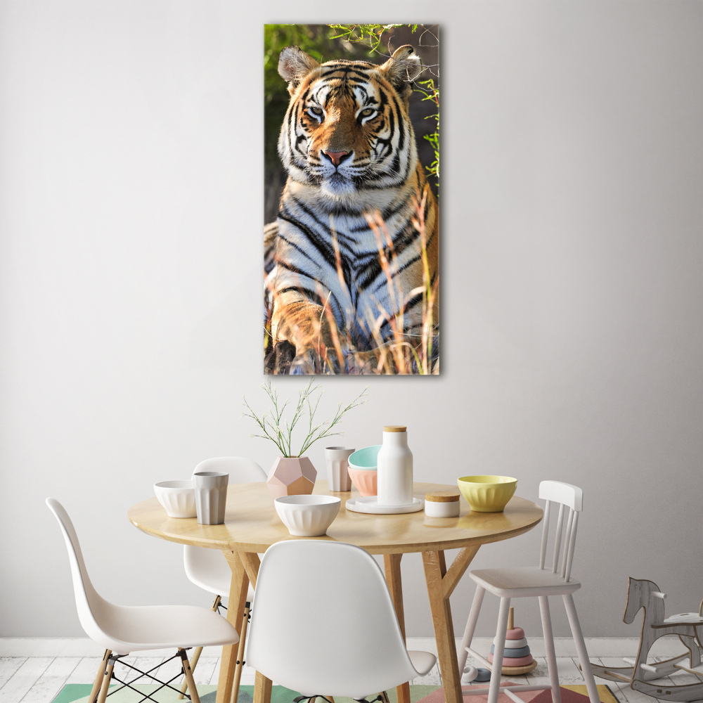 Tableau verre acrylique Tigre