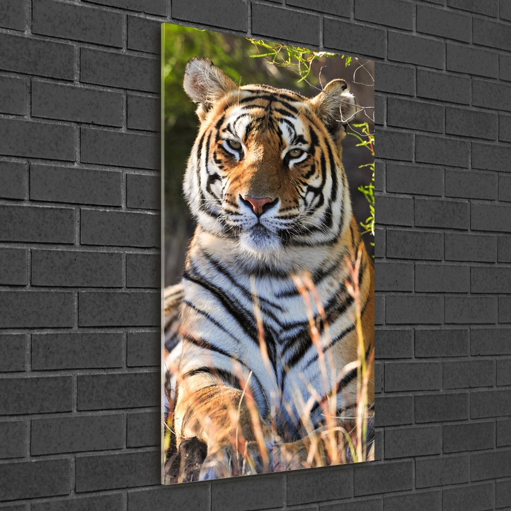 Tableau verre acrylique Tigre