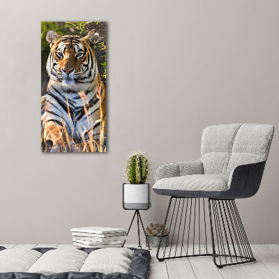 Tableau verre acrylique Tigre