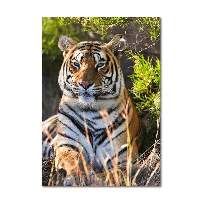 Tableau verre acrylique Tigre