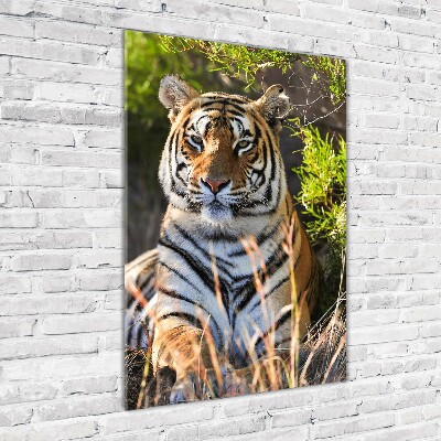 Tableau verre acrylique Tigre