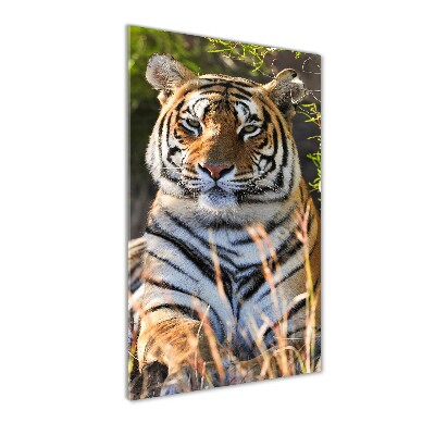 Tableau verre acrylique Tigre